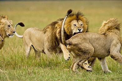 新里程碑！Switch全球销量现已超过1.5亿