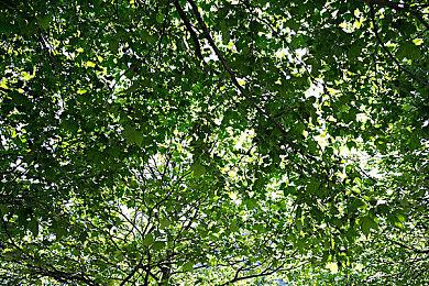 B站2024年百大UP主正式公布 你关注了几个？